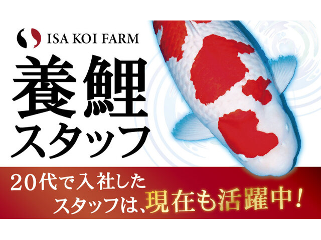 伊佐養鯉場株式会社の求人情報を見る
