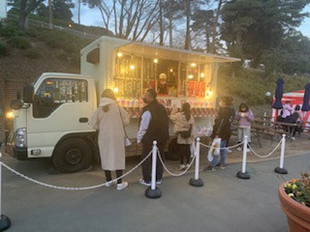 写真1
