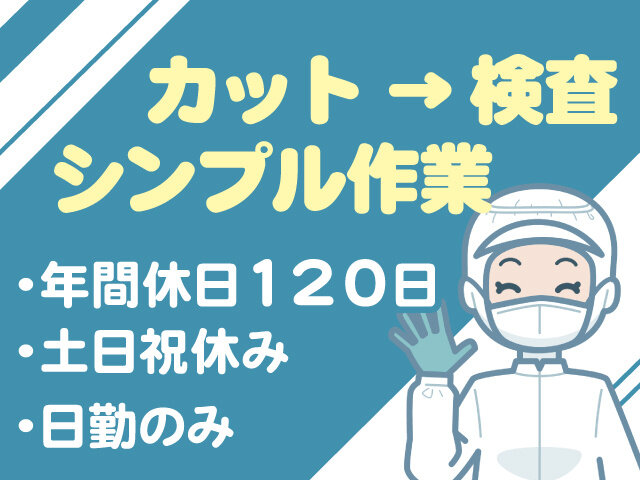 写真1