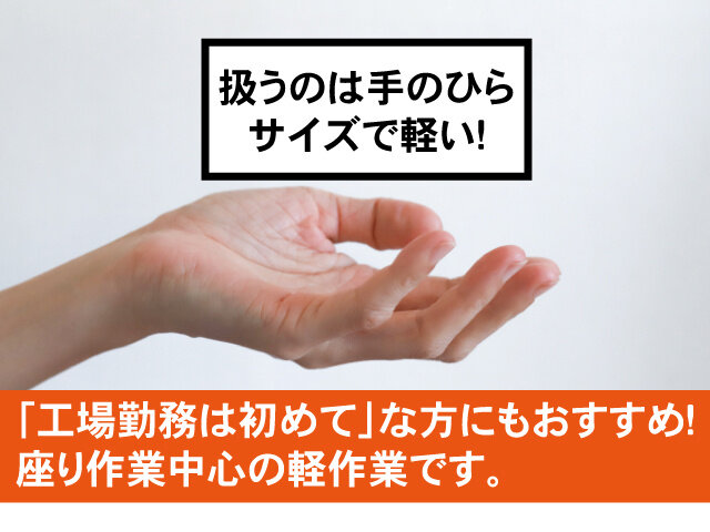 写真1