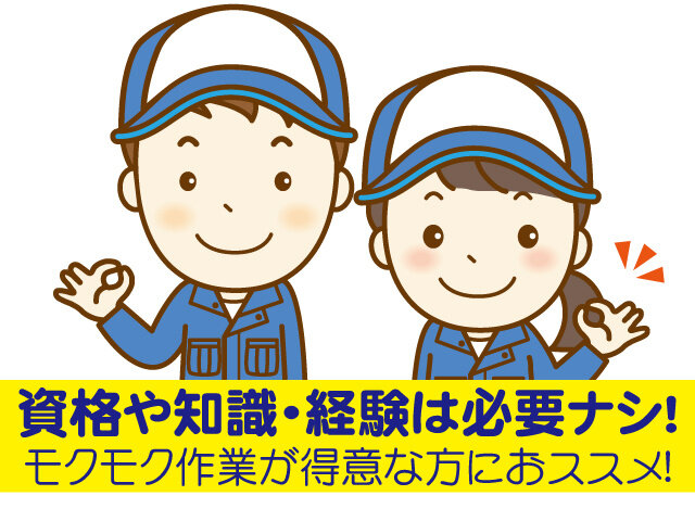 写真1