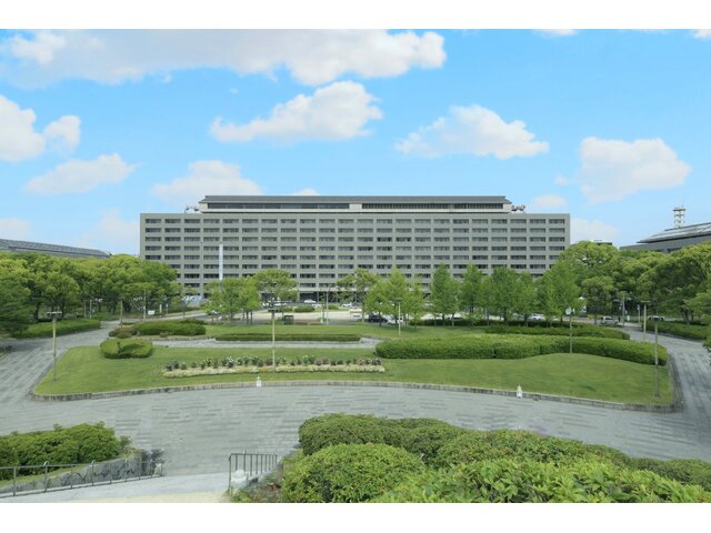 写真1
