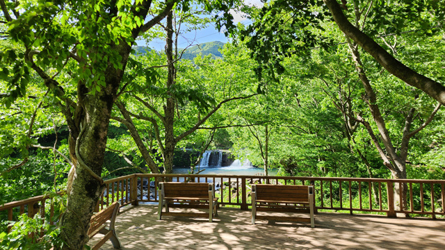 川沿いのせせらぎ