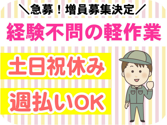 写真1