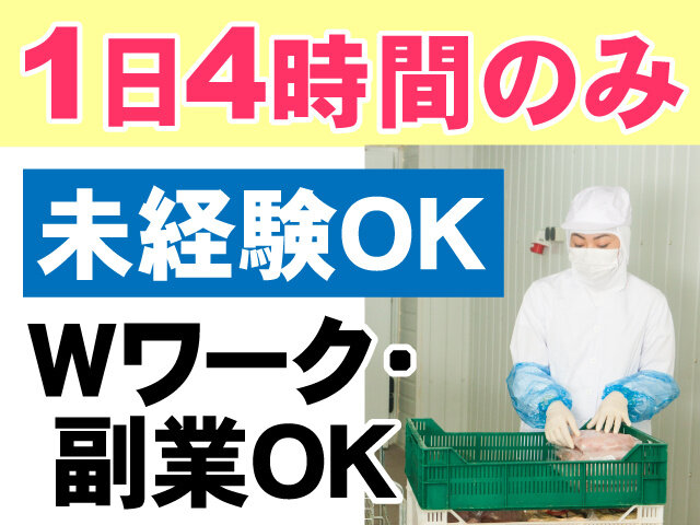 写真1