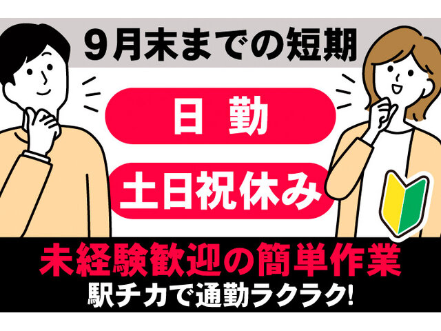 写真1
