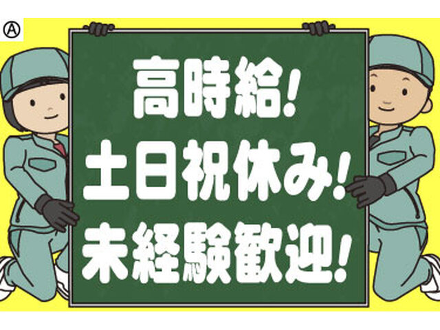 写真1