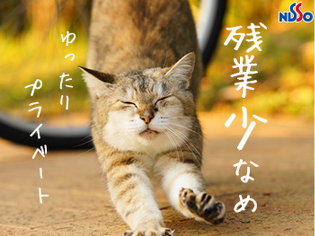 写真1