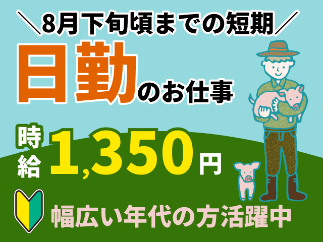 8月下旬頃までの短期　日勤のお仕事　時給1350円　幅広い年代の方活躍中