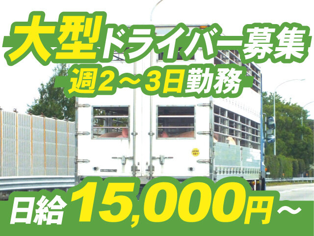 写真1