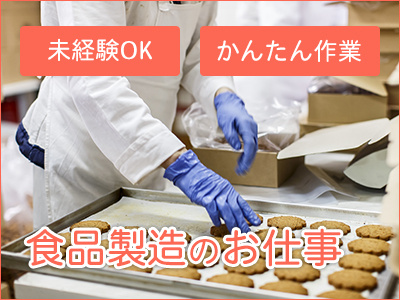 派遣スタッフ募集