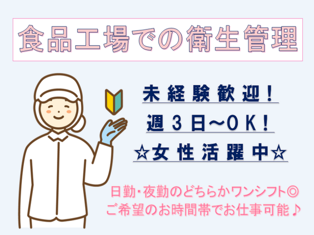 写真1