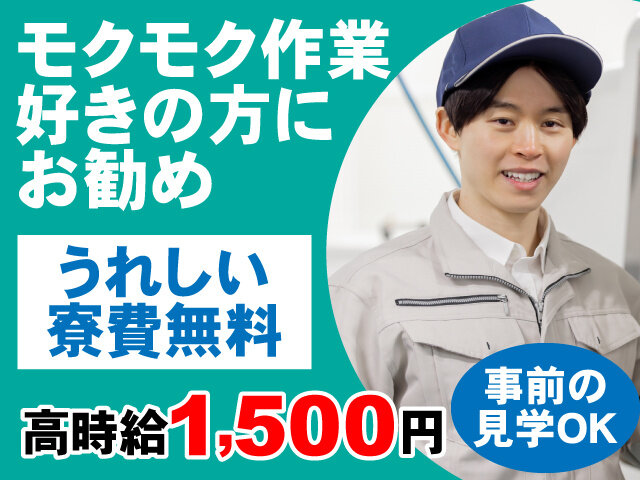 写真1