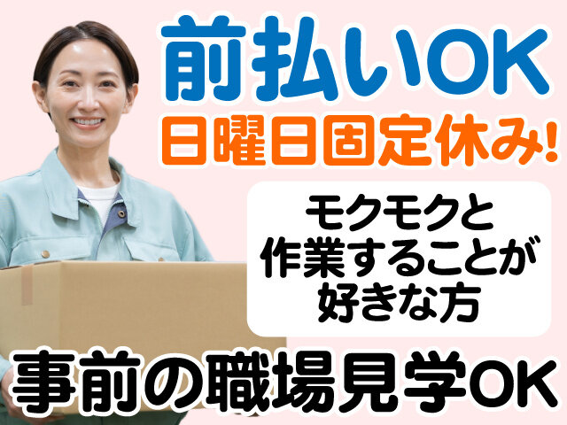 写真1