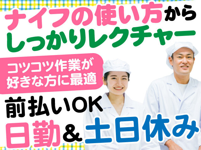 写真1