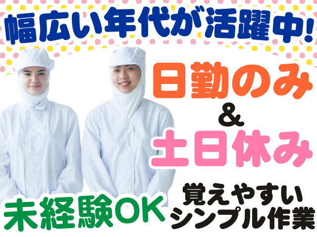 写真1