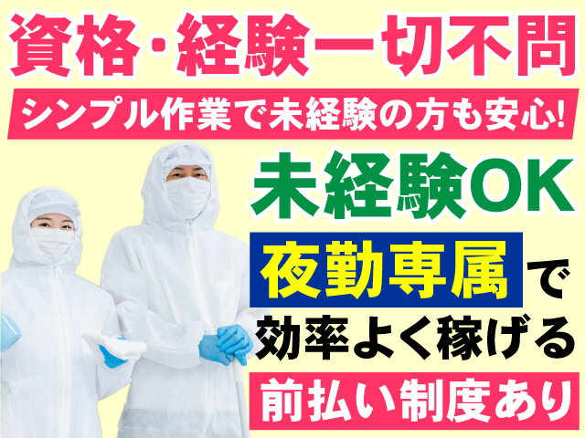 写真1