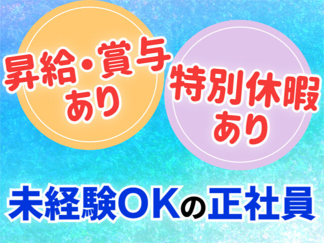 写真1