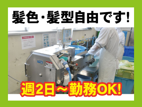 野菜加工スタッフ/髪色・髪型自由/未経験からスタートOK/賞与支給あり
