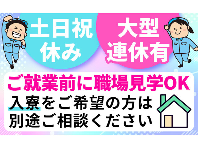 写真1