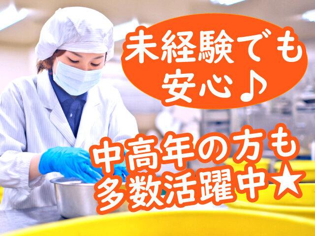 写真1