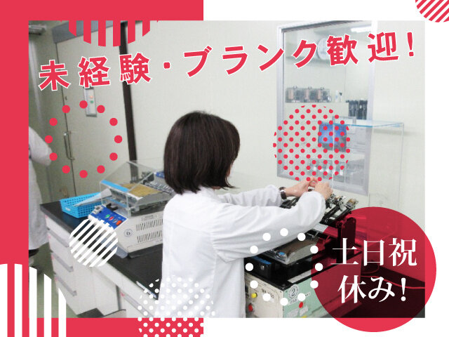 写真1