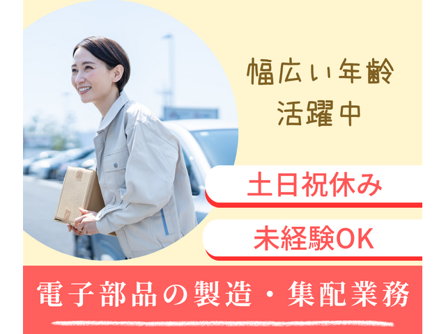 写真1