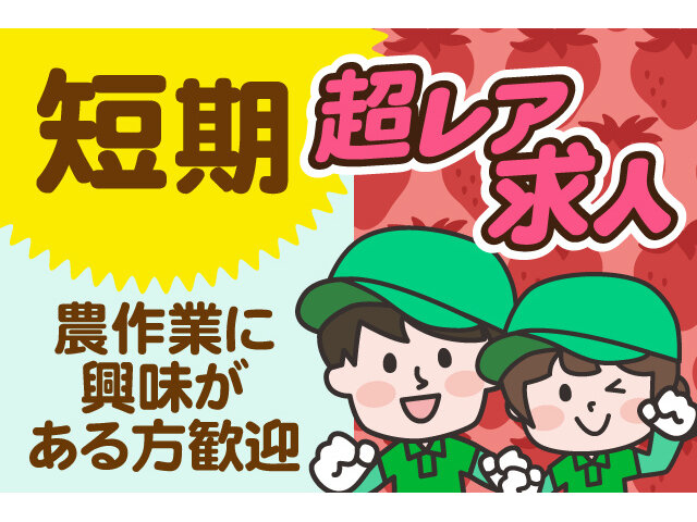 加瀬いちご園の求人情報を見る