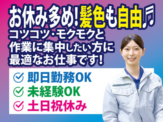 写真1