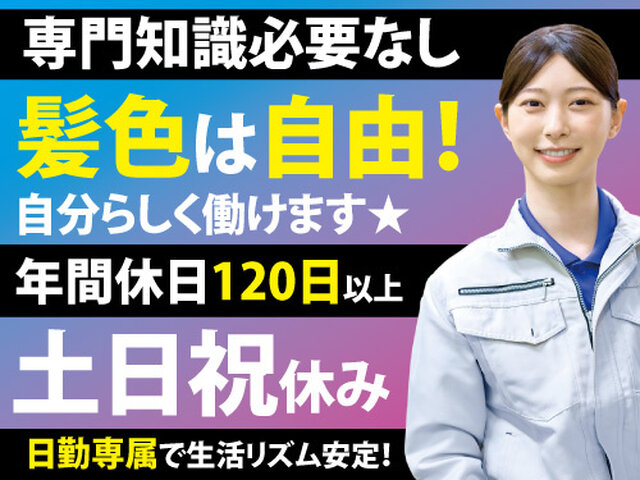 写真1