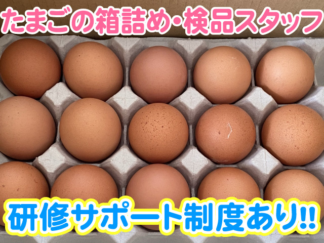 たまごの箱詰め・検品スタッフ　研修サポート制度あり　