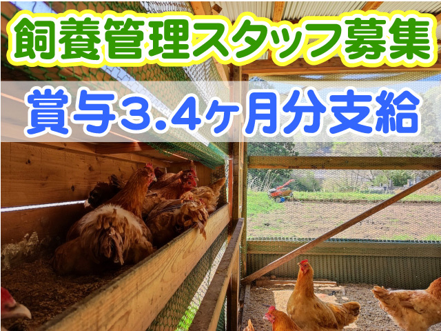 飼養管理スタッフ募集　賞与3.4ヶ月分支給