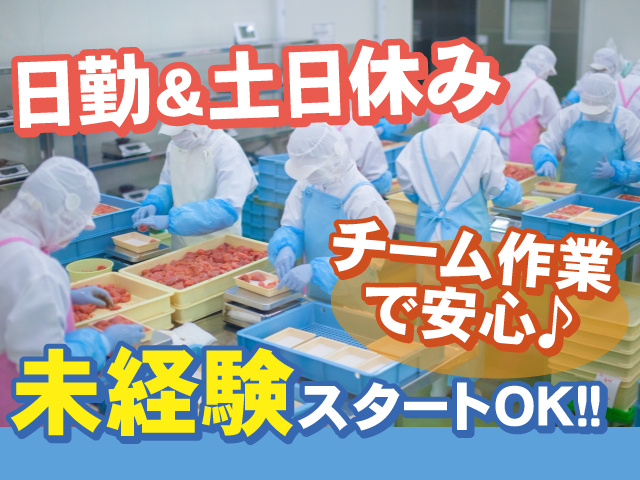 未経験スタートOK　チーム作業で安心　日勤＆土日休み