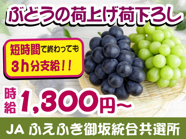 ぶどうの荷上げ荷下ろし　短時間で終わっても3ｈ分支給　時給1300円～　JAふえふき御坂統合共選所
