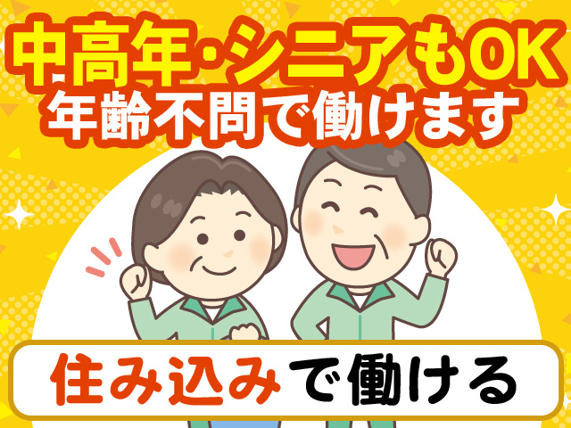 中高年・シニアもOK
