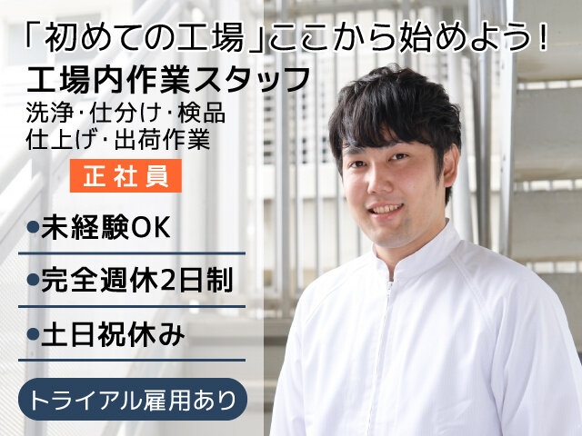 写真1