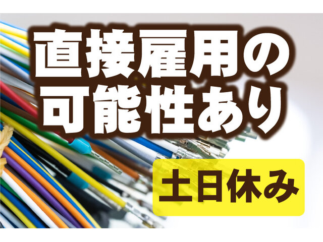 写真1