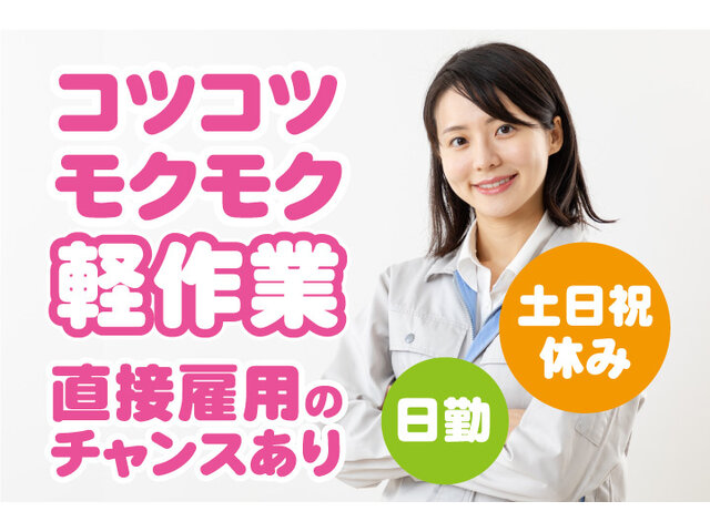 写真1