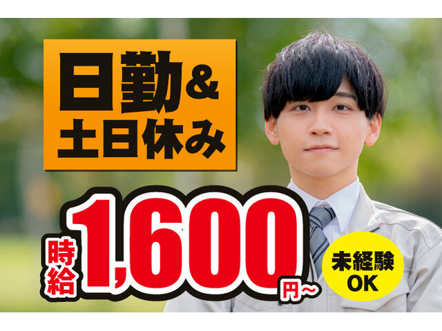 写真1