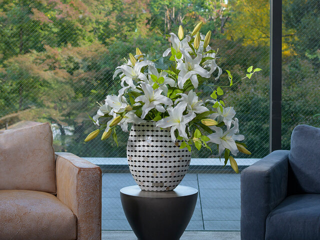 写真1