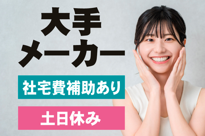 大手メーカー