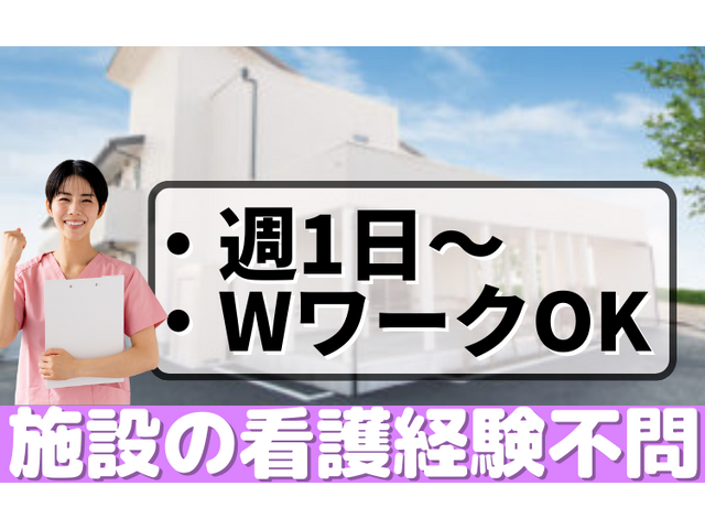 写真1