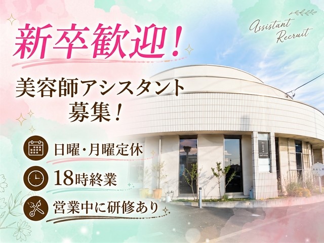 新卒　アシスタント