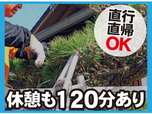 写真1