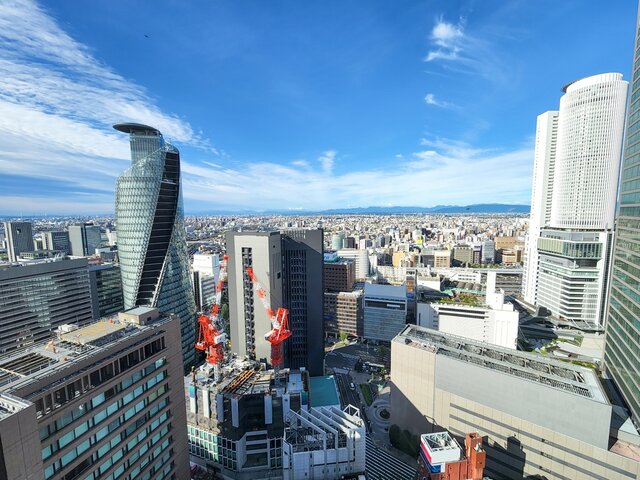 写真1
