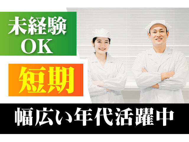 写真1