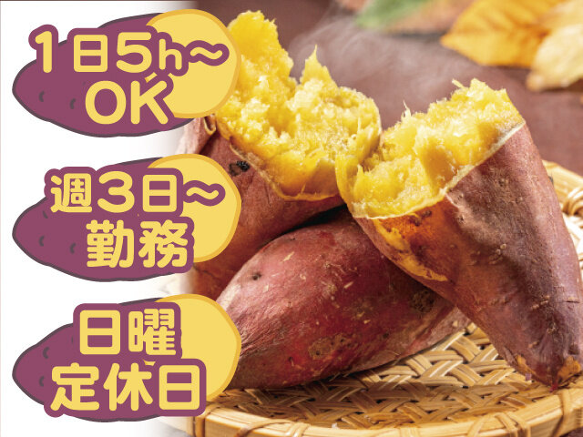 写真1