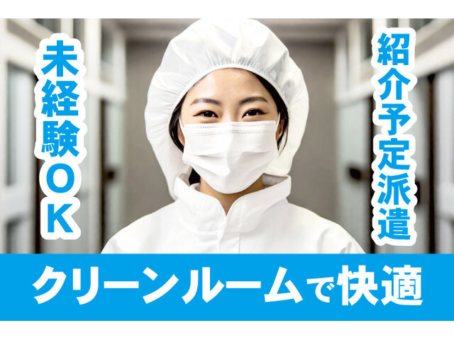 写真1