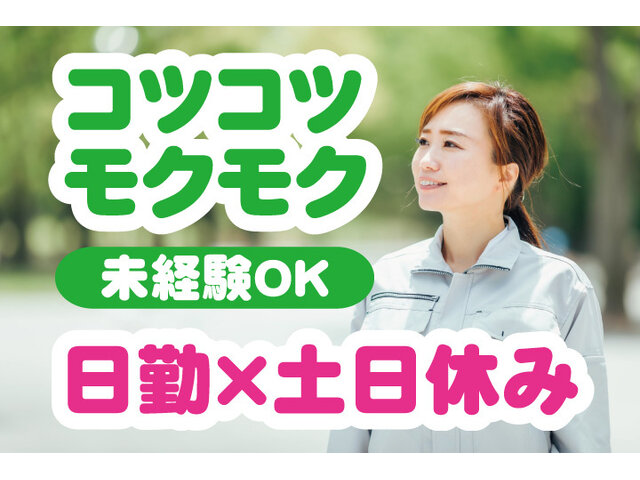 写真1