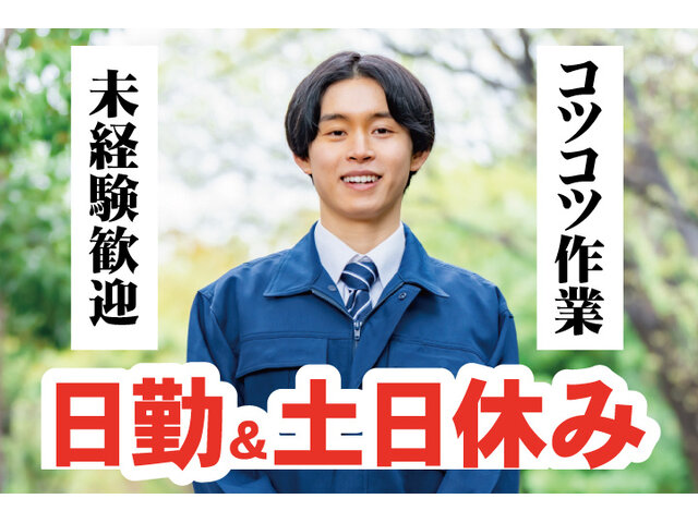 写真1